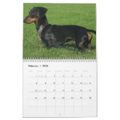 Calendrier Dachshund Avec Vos Photos (Feb 2026)