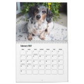 Calendrier Dachshund Chien (Feb 2027)