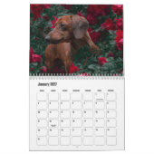 Calendrier Dachshund Chien (Jan 2027)