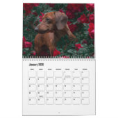 Calendrier Dachshund Chien (Jan 2026)
