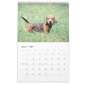 Calendrier Dachshunds 2014 (Mar 2027)