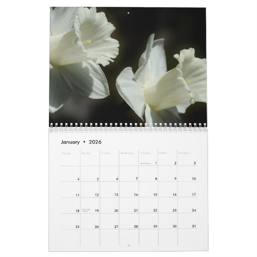 Calendrier Daffodil Flowers 2023 Calendar (Jan 2026)