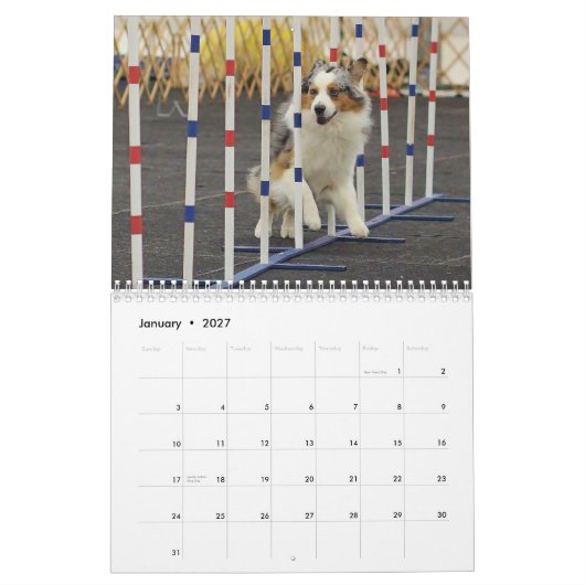 Calendrier d'agilité de berger de 2014 Australiens (Jan 2027)