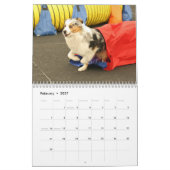 Calendrier d'agilité de berger de 2014 Australiens (Feb 2027)