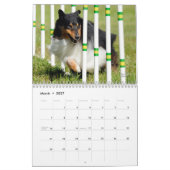 Calendrier d'agilité de chien de berger de (Mar 2027)