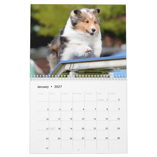 Calendrier d'agilité de chien de berger de (Jan 2027)