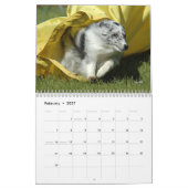 Calendrier d'agilité de chien de berger de (Feb 2027)