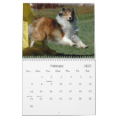 Calendrier d'agilité de chien de berger de (Feb 2027)