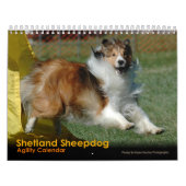 Calendrier d'agilité de chien de berger de (Protection)