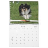 Calendrier d'agilité de chien de berger de (Mar 2027)