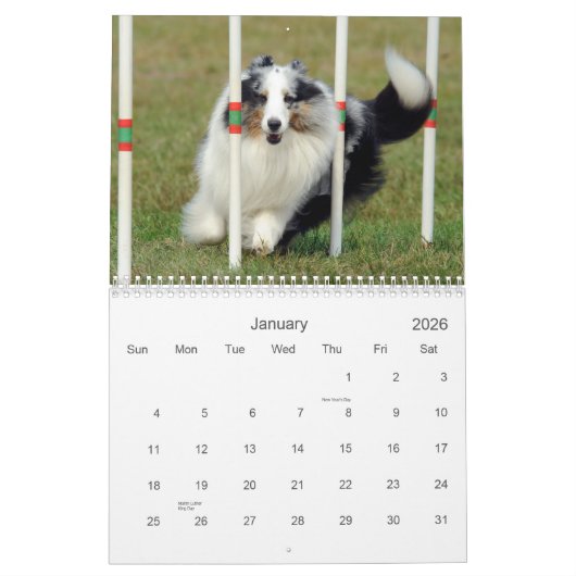 Calendrier d'agilité de chien de berger de (Jan 2026)