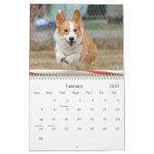 Calendrier d'agilité de corgi de Gallois de (Feb 2027)