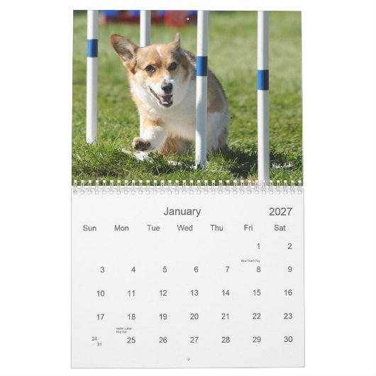 Calendrier d'agilité de corgi de Gallois de (Jan 2027)