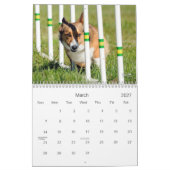 Calendrier d'agilité de corgi de Gallois de (Mar 2027)