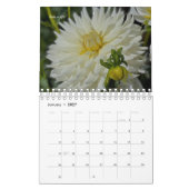 Calendrier Dahlia (Jan 2027)
