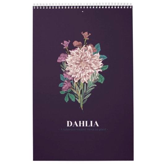 CALENDRIER DAHLIA (Protection)