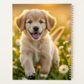 Calendrier Daisy (Dos)