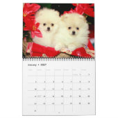 Calendrier Dalmate-Couverture, Puppies2010 (Jan 2027)