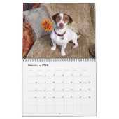 Calendrier Dalmate-Couverture, Puppies2010 (Feb 2026)