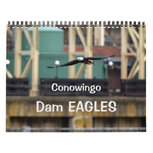 Calendrier Dam Eagles (Protection)