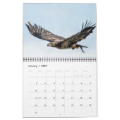 Calendrier Dam Eagles (Jan 2027)