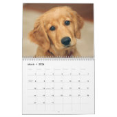 Calendrier d'amants de golden retriever (Mar 2026)