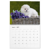 Calendrier d'amour de chiots de grande taille (Mar 2027)