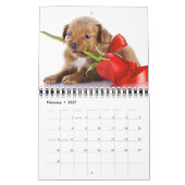 Calendrier d'amour de chiots de petite taille (Feb 2027)