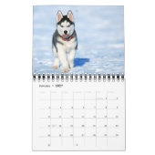 Calendrier d'amour de chiots de petite taille (Jan 2027)