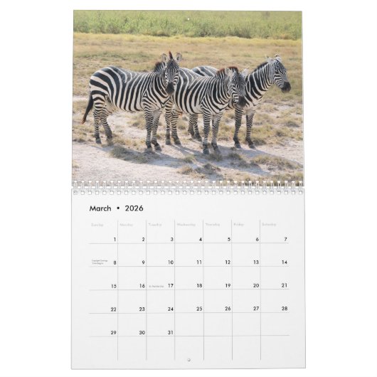 Calendrier d'amour Zebra 2021 (Mar 2026)