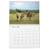 Calendrier d'amour Zebra 2021 (Jan 2026)