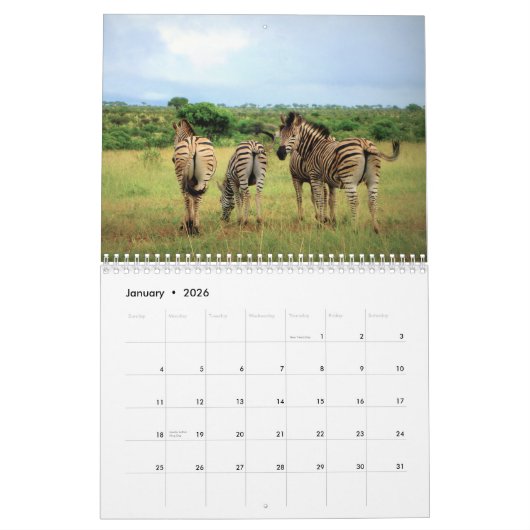 Calendrier d'amour Zebra 2021 (Jan 2026)