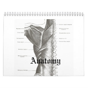 Calendrier d'anatomie