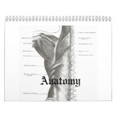 Calendrier d'anatomie (Protection)