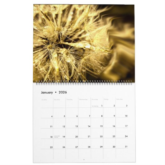 Calendrier Dandelion Dreams (Jan 2026)