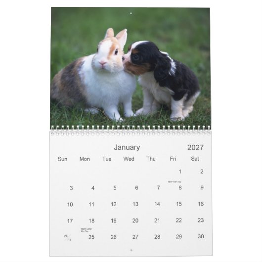 Calendrier d'animal de bébé (Jan 2027)