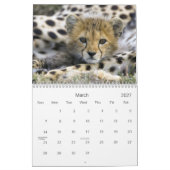 Calendrier d'animal de bébé (Mar 2027)