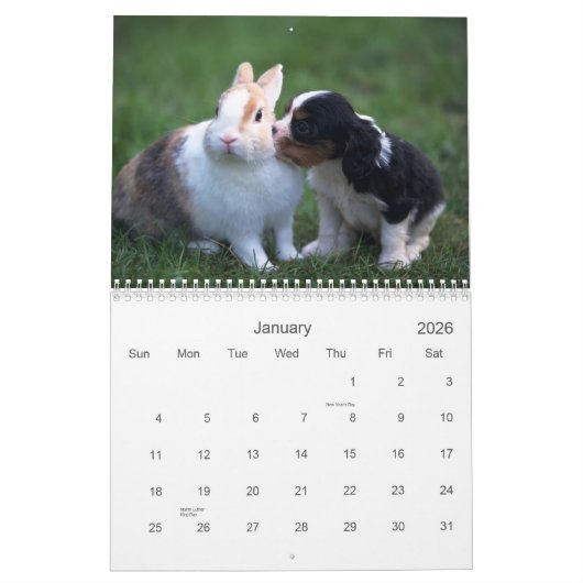 Calendrier d'animal de bébé (Jan 2026)