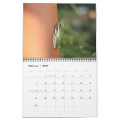 Calendrier d'animal sauvage (Feb 2027)