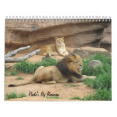 Calendrier d'animal sauvage par Ramona Taylor (Protection)