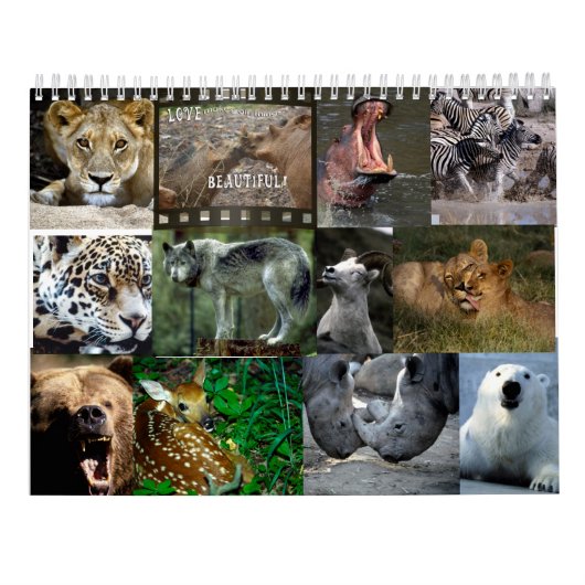 CALENDRIER D'ANIMAUX SAUVAGES (Dos)