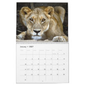 CALENDRIER D'ANIMAUX SAUVAGES (Jan 2027)