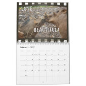 CALENDRIER D'ANIMAUX SAUVAGES (Feb 2027)
