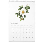 Calendrier d'aquarelles botaniques Mang Hang Ho, 2 (Jan 2027)