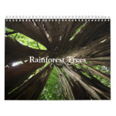 Calendrier d'arbres de forêt tropicale (Protection)