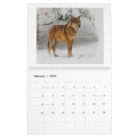 Calendrier d'art Wolf (Feb 2026)