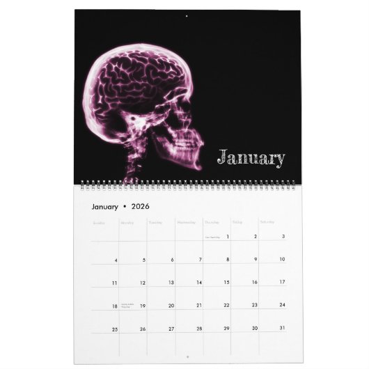 Calendrier d'art X-Ray 3 - rose (Jan 2026)