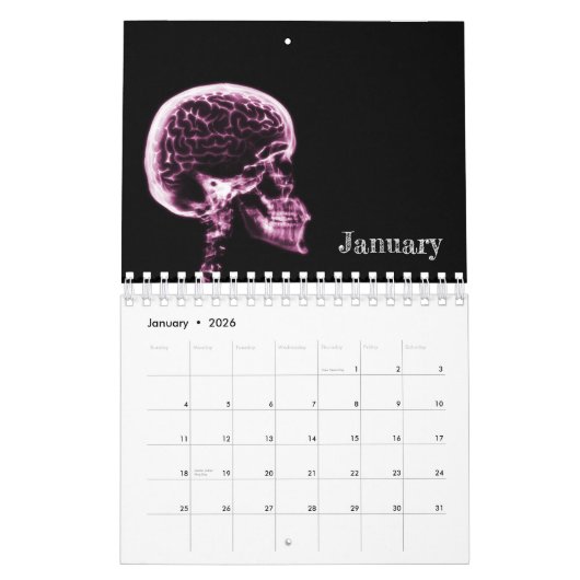 Calendrier d'art X-Ray 3 - rose (Jan 2026)