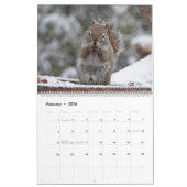 Calendrier Dates canadiennes 2024, Grand, mur M. Bickles (Feb 2026)