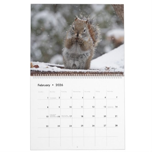 Calendrier Dates canadiennes 2024, Grand, mur M. Bickles (Feb 2026)